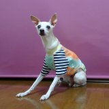 元気カラーのグラデーションに★個性的なTシャツ