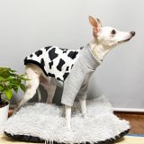 フリース服追加です!