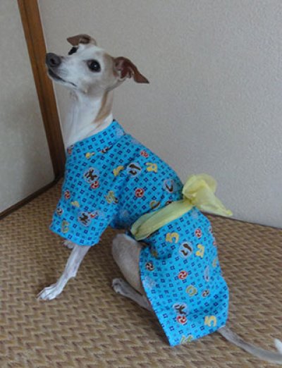 画像1: 浴衣予約オーダー