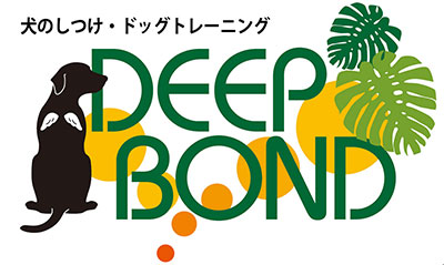 湘南、藤沢市のドッグトレーナー「Deep Bond」さん