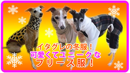 冬のイタグレ服。可愛くてユニークなフリースの服!
