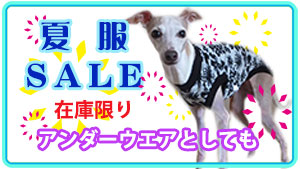 イタグレ服セール
