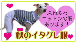 コットン素材のロンパース 秋服