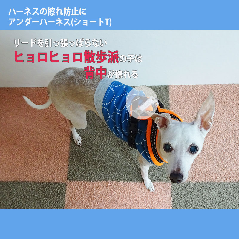 犬 ハーネス ストア 擦れる